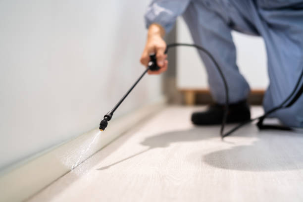 Certified termite inspector examining foundation in Lake Oswego